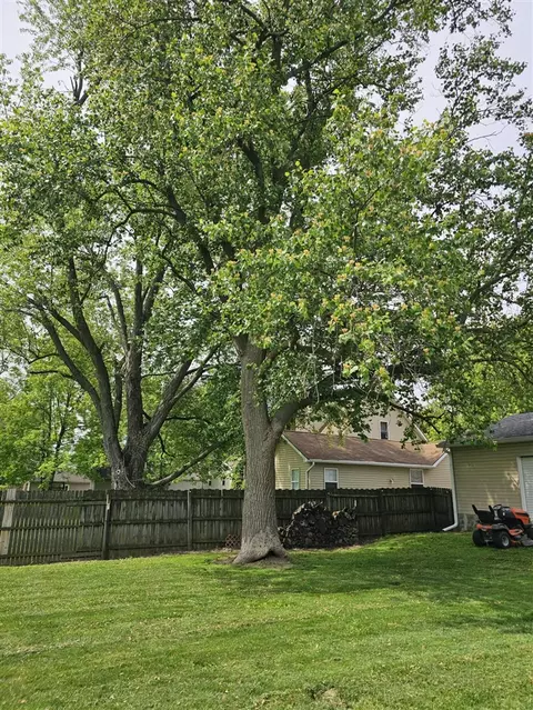 Exterior - 1011 State, Adrian, MI 49221 photo 13 of 14
