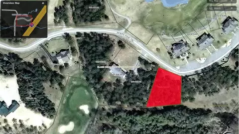 bear paw, Vanderbilt, MI 49795