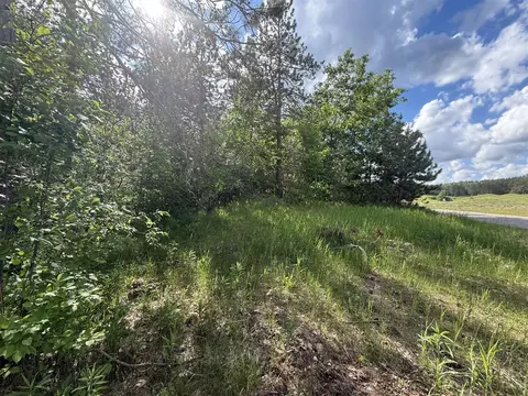 v/l bear paw, Vanderbilt, MI 49795