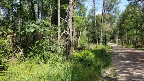 Parcel 4 Grove, Baldwin, MI 49304