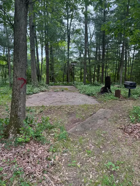 Exterior - 3105 N Evergreen, White Cloud, MI 49349 photo 3 of 7
