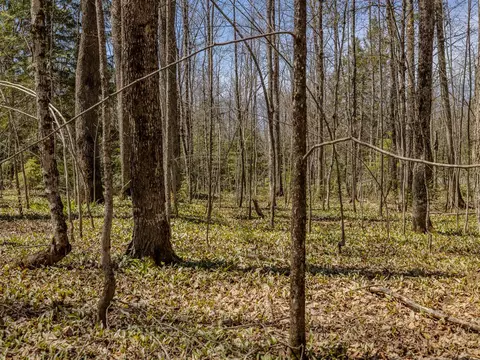 E Shore, Update, MI 49910 photo 19