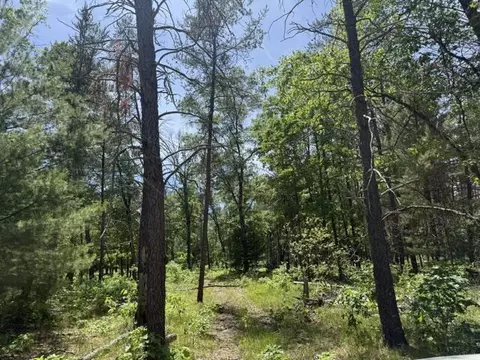 Parcel 2 Grove, Baldwin, MI 49304 photo 2