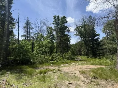 Parcel 2 Grove, Baldwin, MI 49304