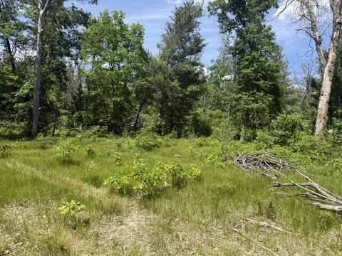 Parcel 2 Grove, Baldwin, MI 49304 photo 6