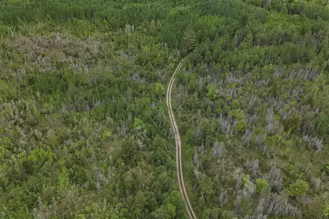 E Woods, Goetzville, MI 49736