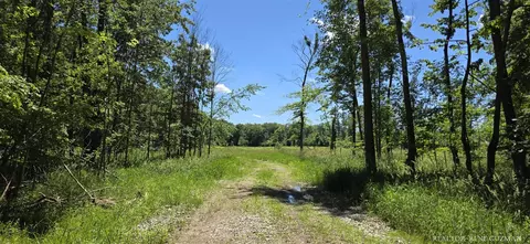 8250 14 Mile, Cedar Springs, MI 49319