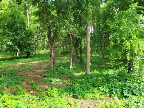 Ernest, Brooklyn, MI 49230 photo 6