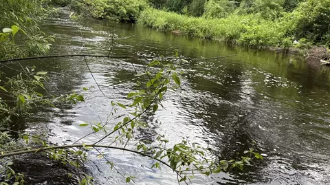 S Woods, Branch, MI 49402