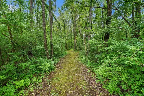 V/L Forest Shores #9, Cassopolis, MI 49031