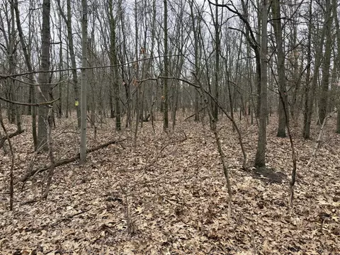 Oo 58th, Pullman, MI 49450 photo 6
