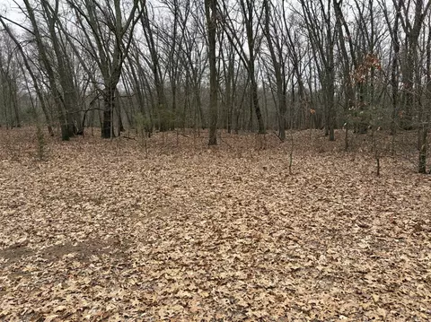 Oo 58th, Pullman, MI 49450 photo 8