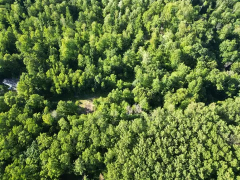 5170 Rocky Top Parcel B, Pierson, MI 49339