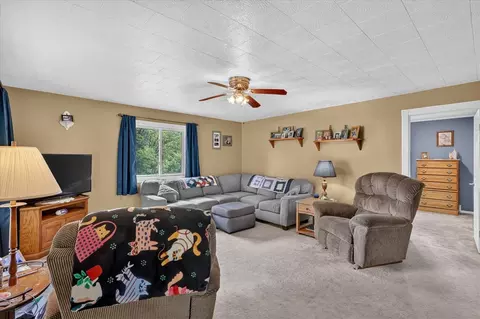 Living - 303 W Walnut, Stanton, MI 48888 photo 3 of 4