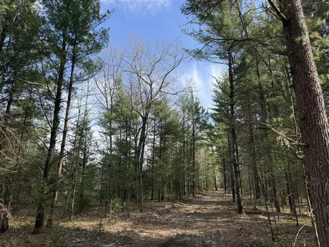 Parcel D Critter, Manistee, MI 49660