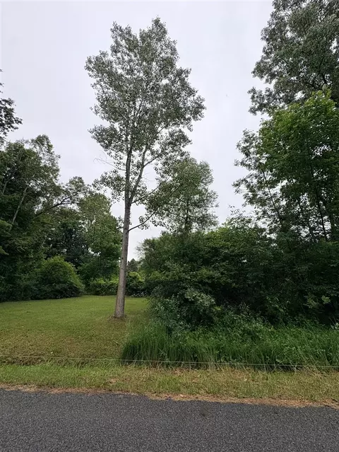 0 Crestview, Laingsburg, MI 48848
