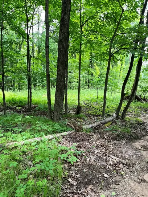 00 Pierce, Stanwood, MI 49346