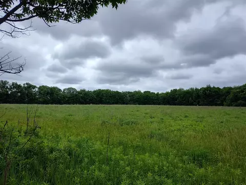 E Division, Sherwood, MI 49089