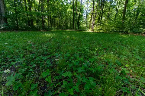 V/l Peach, White Cloud, MI 49349 photo 31