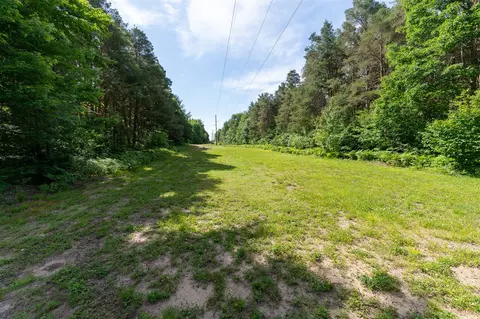 V/l Peach, White Cloud, MI 49349 photo 22