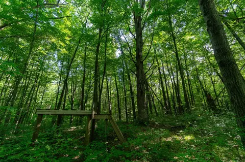 V/l Peach, White Cloud, MI 49349 photo 24