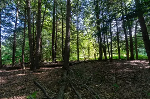 V/l Peach, White Cloud, MI 49349 photo 33