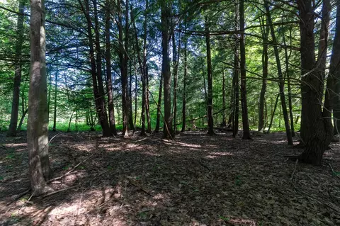 V/l Peach, White Cloud, MI 49349 photo 34