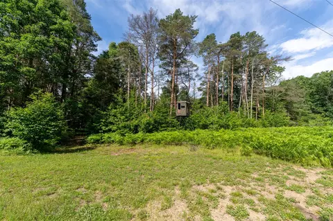 V/l Peach, White Cloud, MI 49349 photo 5