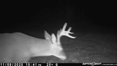 V/l Peach, White Cloud, MI 49349 photo 48