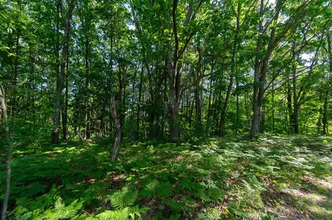 V/l Peach, White Cloud, MI 49349 photo 32
