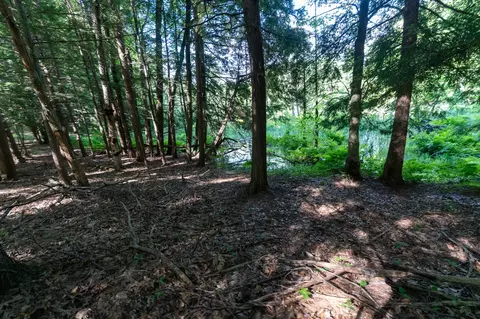V/l Peach, White Cloud, MI 49349 photo 26