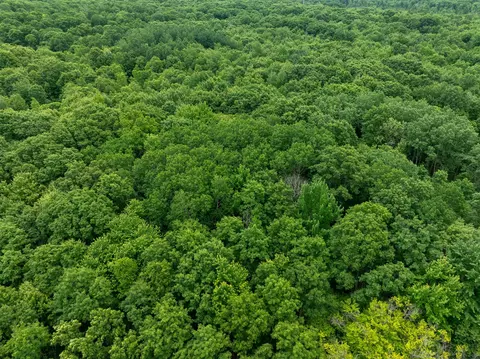 V/l Peach, White Cloud, MI 49349 photo 38