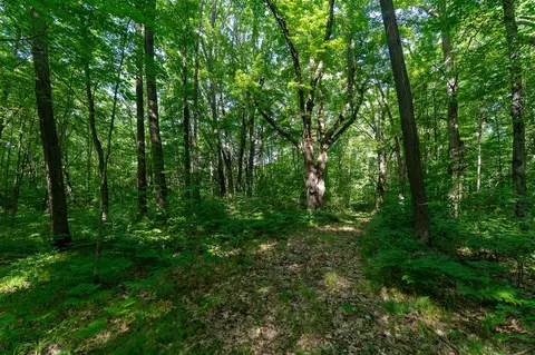 V/l Peach, White Cloud, MI 49349 photo 27