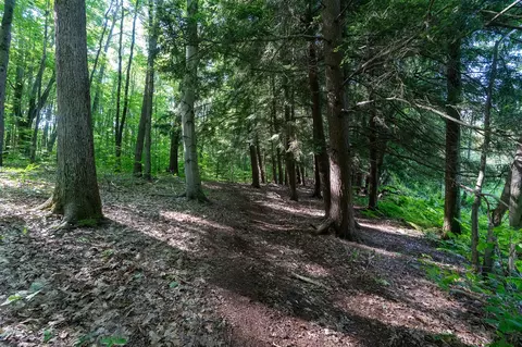 V/l Peach, White Cloud, MI 49349 photo 14