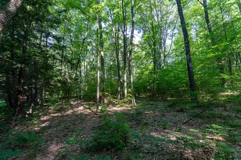 V/l Peach, White Cloud, MI 49349 photo 15