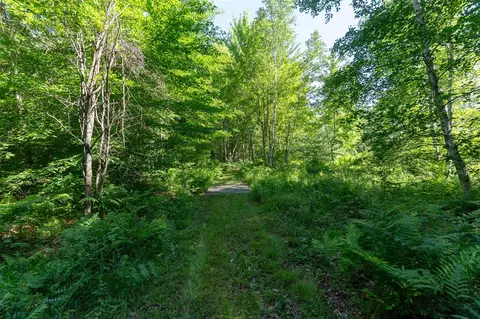 V/l Peach, White Cloud, MI 49349 photo 13