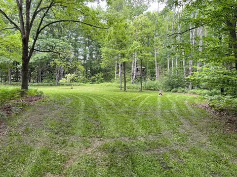 V/l Peach, White Cloud, MI 49349 photo 2