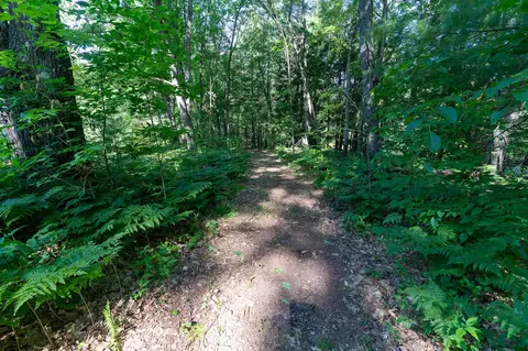 V/l Peach, White Cloud, MI 49349 photo 36