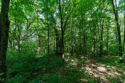 V/l Peach, White Cloud, MI 49349 photo 18