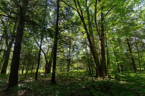 V/l Peach, White Cloud, MI 49349 photo 35