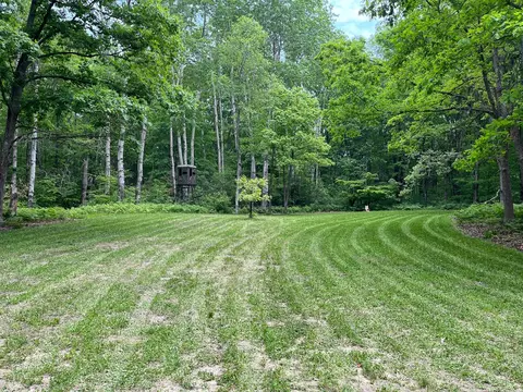 V/l Peach, White Cloud, MI 49349