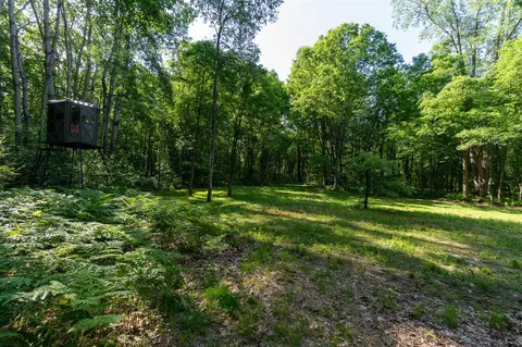 V/l Peach, White Cloud, MI 49349 photo 8
