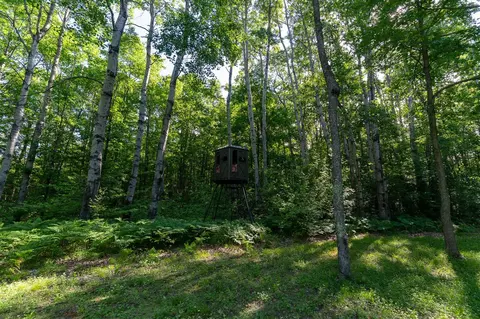 V/l Peach, White Cloud, MI 49349 photo 28