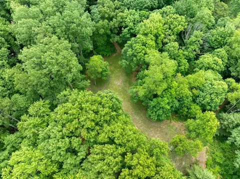 V/l Peach, White Cloud, MI 49349 photo 39