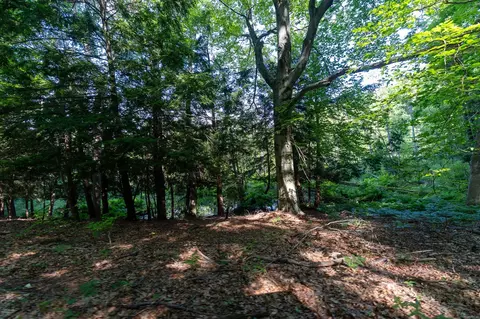 V/l Peach, White Cloud, MI 49349 photo 25