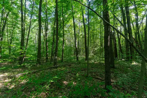 V/l Peach, White Cloud, MI 49349 photo 17