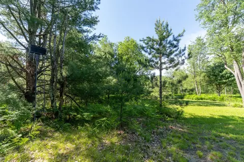V/l Peach, White Cloud, MI 49349 photo 12