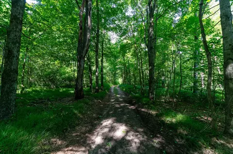V/l Peach, White Cloud, MI 49349 photo 37