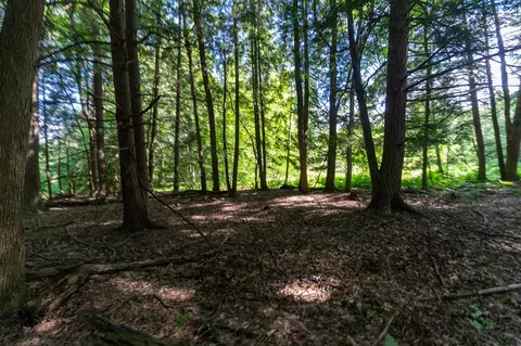 V/l Peach, White Cloud, MI 49349 photo 11