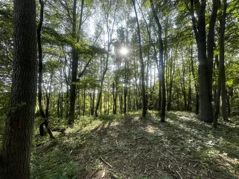 V/l Knight, Marcellus, MI 49067 photo 4
